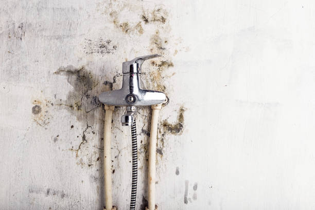 Home Mold Removal in Harrison, MI
