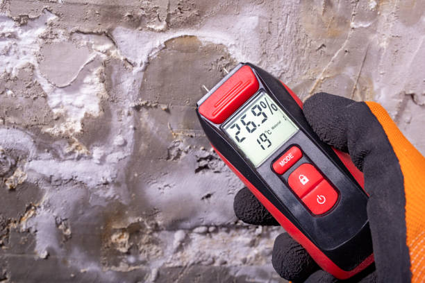 Best Office Mold Removal Services  in Harrison, MI